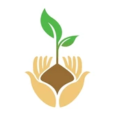 Tree Plantation